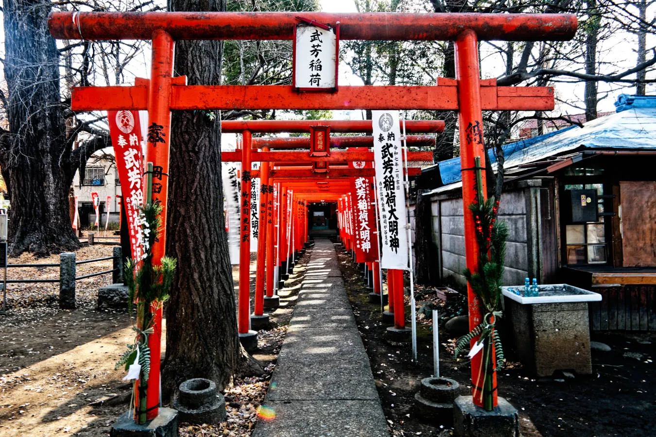 武芳稲荷社=Takeyoshi-Inari : The Inari shrine remains, its presence predating the temple.